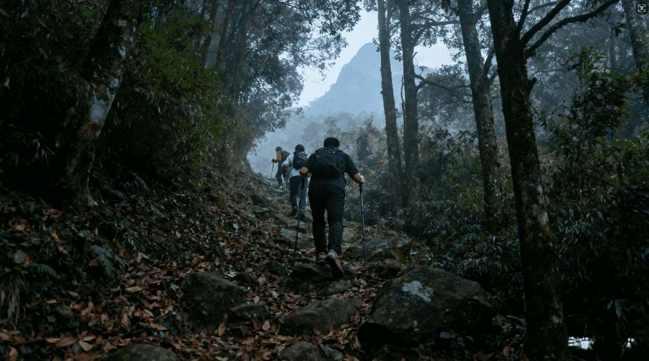 黑洞苹果加速器使用指南：全面提升你的设备网络速度与体验